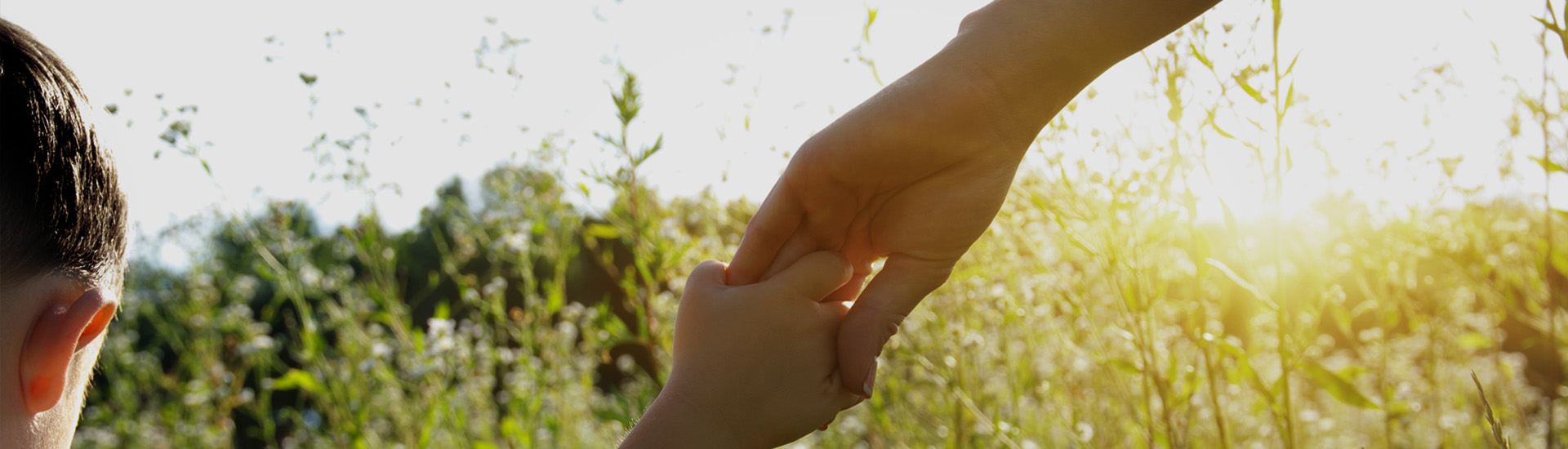 蘇州蘇科環(huán)?？萍加邢薰?>
  	<div   id=